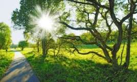 Sabahın hava proqnozu 