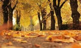 Sabah hava  necə olacaq?