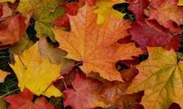 Sabah hava  necə olacaq?