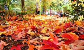 Sabah hava necə olacaq? 