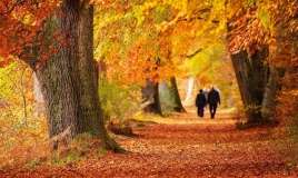 Sabah hava necə olacaq? 