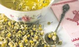 Zehni gücləndirən  5 bitki çayı