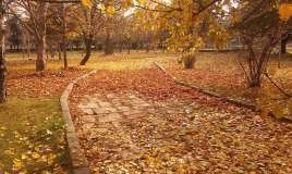 Sabahın hava proqnozu 