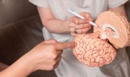 Alimlər beyində psixozun erkən əlamətini tapdı 