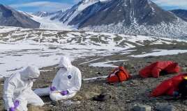 Yeni pandemiya:  Vəhşi heyvanlar insan məskənlərinə yaxınlaşacaq 