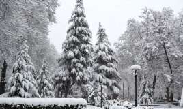 Sabah hava necə olacaq? 