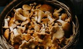 D vitamini ehtiyacını 100 faiz təmin edən qida 