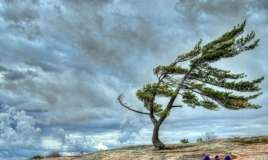 Hava ilə bağlı Sarı xəbərdarlıq 