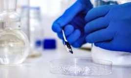 Qanaxmanı dərhal dayandıran toz   - kəşf edildi