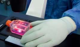 İmmun hüceyrələrini normallaşdırmağın    yolu tapıldı