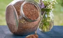 Bu toxum damarda iltihabı azaldır - Alimlər