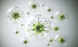 Covid-19-dan sonra yeni risk:  Beyində səssiz təhlükə