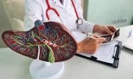 İmmuniteti cavanlaşdıran orqan 