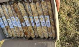 Qurudulmuş yemiş və halvalarda uyğunsuzluq aşkarlandı -  FOTO