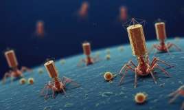 s/Süni intellekt insanlar üçün  ölümcül virus yaratdı 