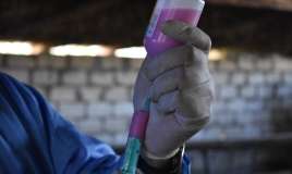 Bu xəstəliklərə qarşı peyvəndləmə tədbirlərinə başlanıldı -  FOTO