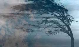 Külək daha da güclənəcək 