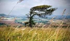  Hava ilə bağlı XƏBƏRDARLIQ 