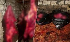 146 kq at ətini satmaq istəyənlər saxlanıldı - FOTO