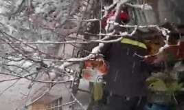 60 yaşlı qadının üzərinə ağac aşdı -  VİDEO