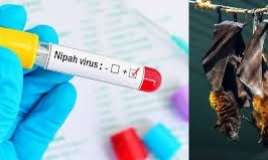 Nipah virusuna yoluxan   tibb işçisi öldü 