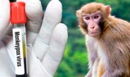 Taylanddan qayıdan turistlərdə meymunçiçəyi    aşkarlandı