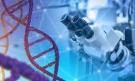 İnsan həyatını dəyişəcək möcüzə kəşf 