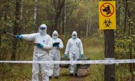 Rusiyada daha bir regionda quduzluğa görə – Karantin 