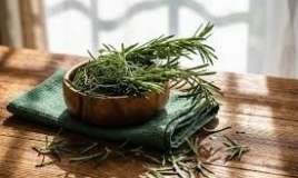 Beyini kimyaterapiya zamanı qoruyan    ucuz ədviyyat