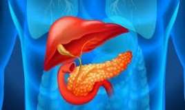 Mədəaltı vəzi xərçənginin 14 əlaməti  – Çox yeyənlərin diqqətinə!