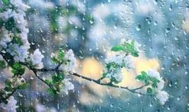 Martın ilk gününə olan hava proqnozu 