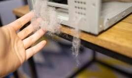 Ofis tozu tənəffüs sağlamlığına zərər verir -  Xəbərdarlıq