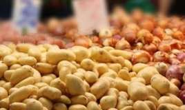 Bu kartofları yeməyin -  Zəhərlənmə riski