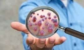 Avropada qida yolu ilə keçən infeksiyalar    yayılır