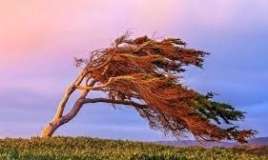 Hava ilə bağlı sarı    XƏBƏRDARLIQ