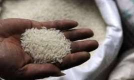 Marketlərdə satılan düyü saxtadır  - Plastik düyünü necə tanıyaq?