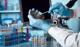 Xərçəngin dərmanı   60 il əvvəl tapılıb?