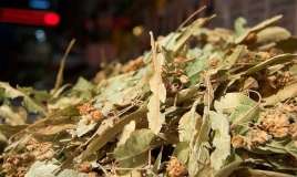 Hər gün bir fincan cökə çayı içməyin  möcüzəvi təsirləri