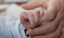 İlin ilk ayında 8 minə yaxın körpə doğulub 