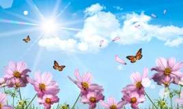 Sabah Azərbaycana yaz gəlir 