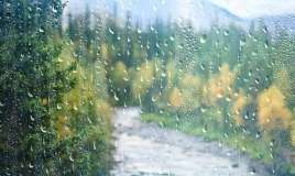 Sabah hava necə olacaq? 