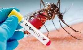 Dünyada  Denge qızdırmasına yoluxma    qlobal səviyyədə artıb