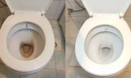 İllərlə yığılan çirki saniyələr içində təmizləyir -  Tualetləri parıldadan üsul 