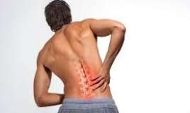 Araq içəndən sonra belin ağrıyırsa -  bu orqandan şübhələn