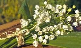 Bu zanbaqlar ölümcüldür  – Diqqət!