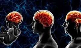 Bu məşqlər beyin qocalmasını yavaşıladır 