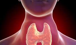 Zob xəstəliyində radioaktiv yod həmişə vacibdirmi? –  Mütəxəssislər fərqli yanaşmaları izah edir