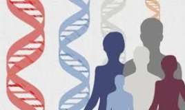 Nəsildən-nəsilə keçən xəstəliklər   - Gizli risklər