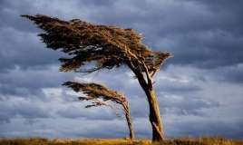 Sabahdan külək güclənəcək -  Xəbərdarlıq