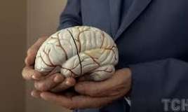 35 yaşdan sonra beynimizdə nə baş verir? 